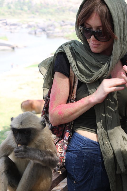 India 2010 - Hampi - Monkeys